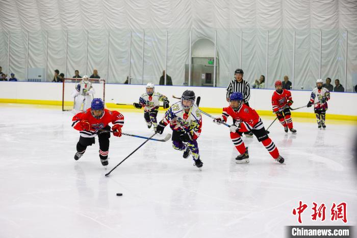 挥杆起航：哈尔滨开启2024年上海合作组织成员国